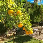빌라 El Palmar Ii *