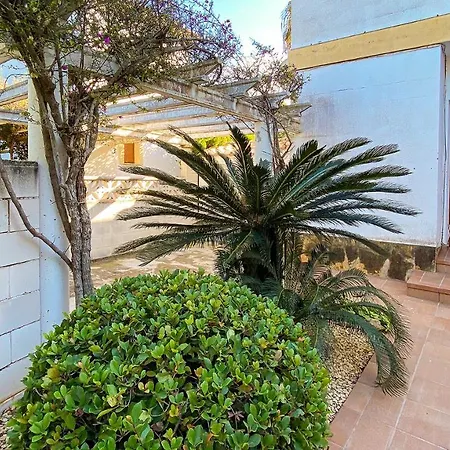 El Palmar Ii *