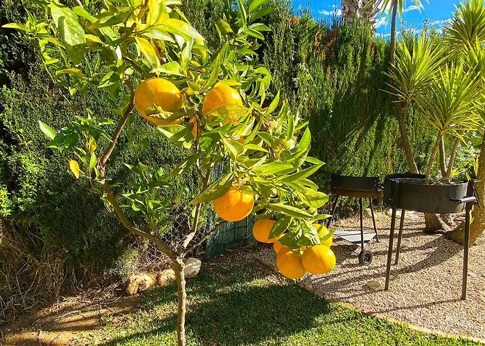 Villa El Palmar Ii *