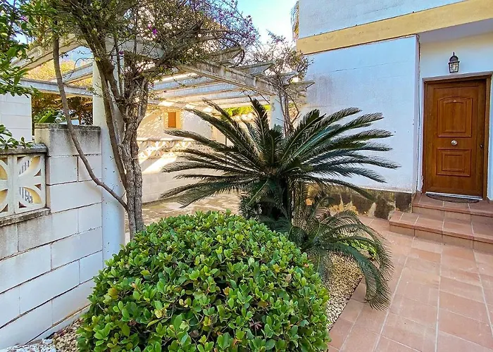 El Palmar Ii *
