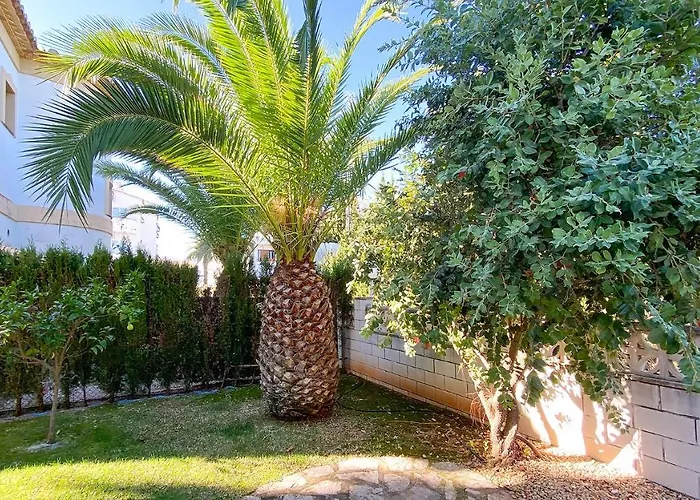 El Palmar Ii